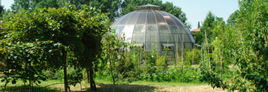 Bosco didattico Perugia