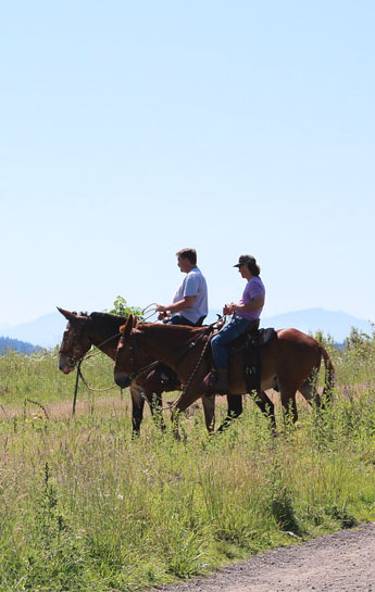 Passeggiare a cavallo