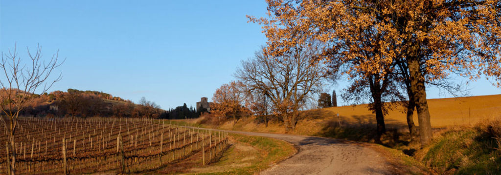 Escursione vicino Perugia