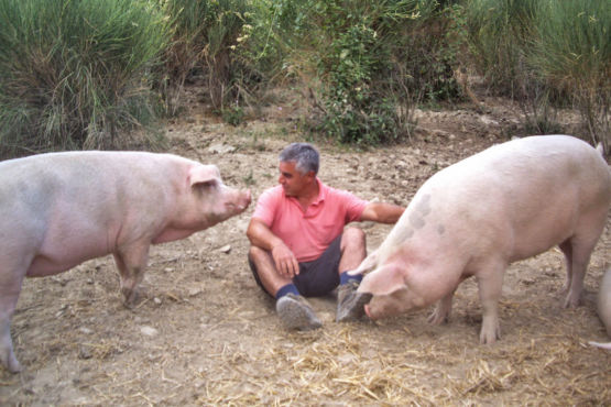 aziende agricole biologiche Umbria