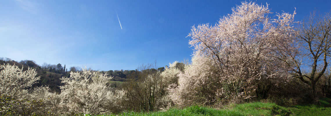 paesaggio primavera Perugia