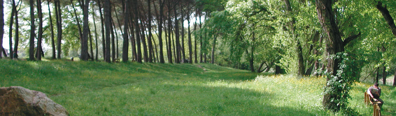 Pineta in Umbria - Emozioni e turismo in Umbria