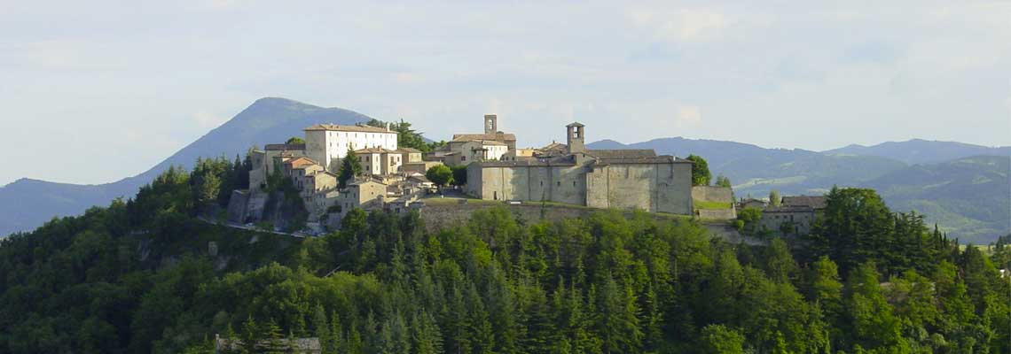 Montone Festa del Bosco 2016