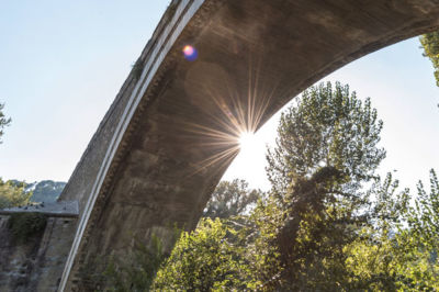 Lungotevere ponte valleceppi