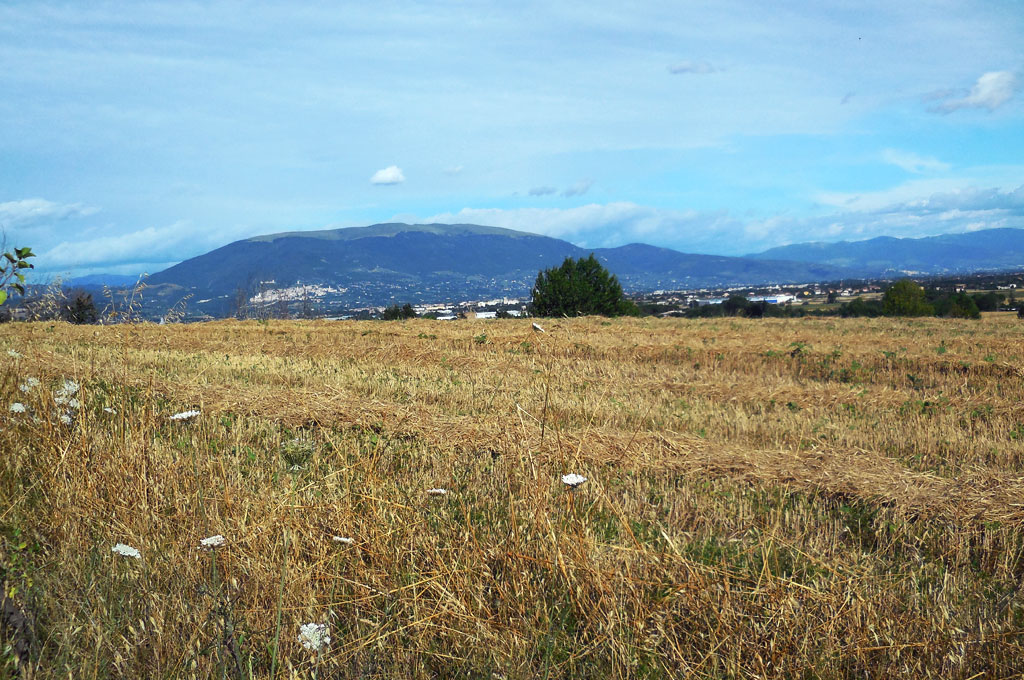 Collestrada perugia