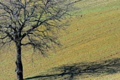 colline umbre perugia