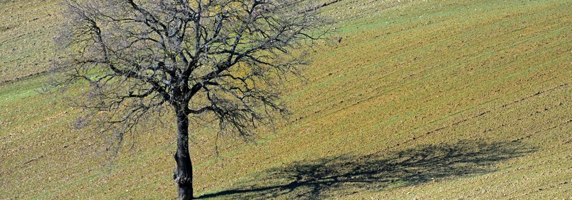 colline umbre perugia