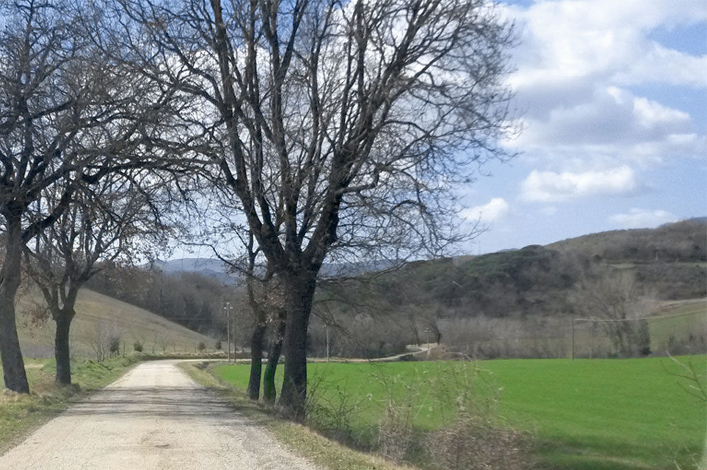 Strada per Montelabate perugia