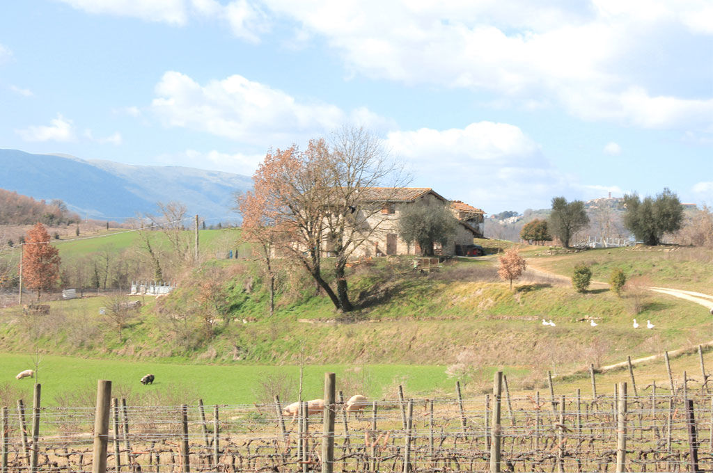 Casa di campagna Montelabate perugia