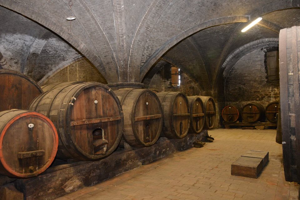 cantina Montelabate abbazia perugia