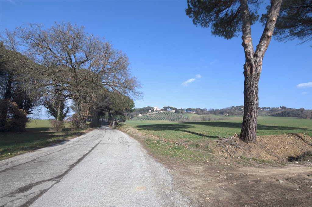 Strada per Solfagnano