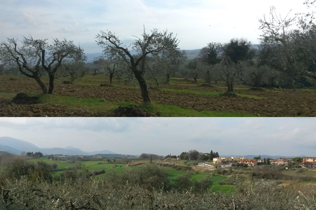 Campagne intorno a Ripa Perugia