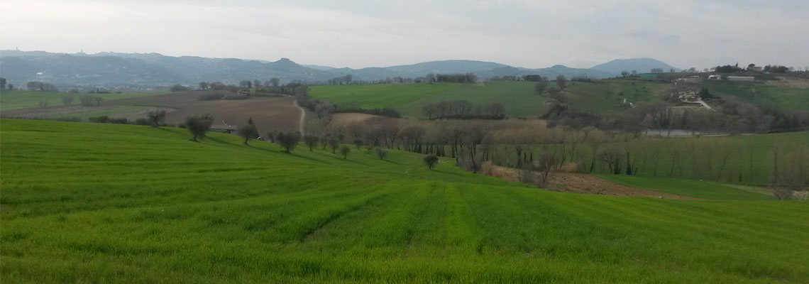 lidarno-colline-umbre
