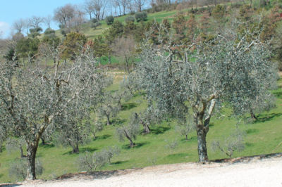 Veduta dall'Agriturismo Il Melograno Perugia