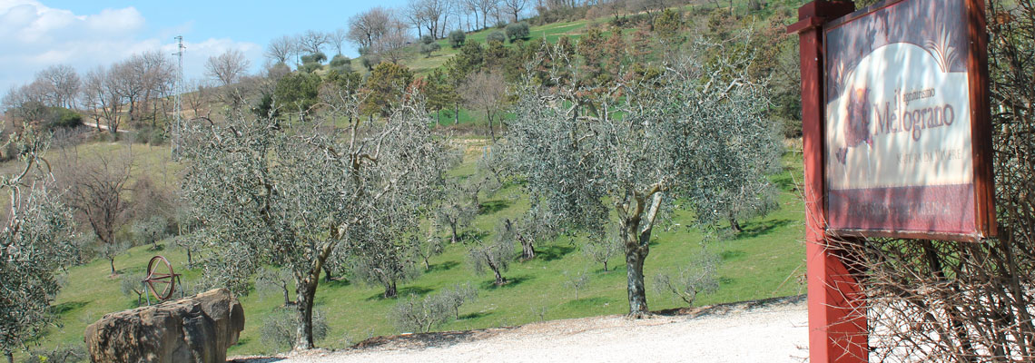 Veduta dall'Agriturismo Il Melograno Perugia