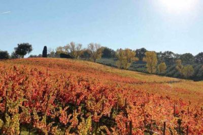 strada-del-sagrantino