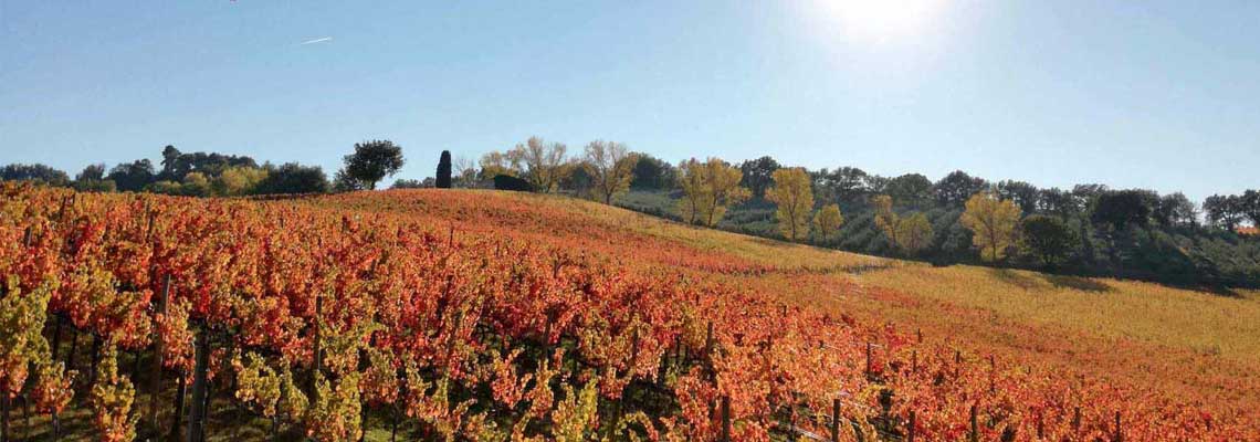 strada-del-sagrantino