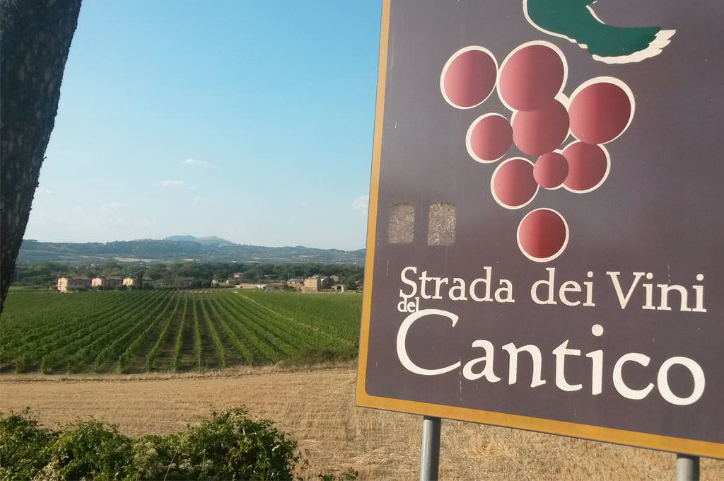 Vigne Lungarotti a Torgiano strada dei vini del cantico