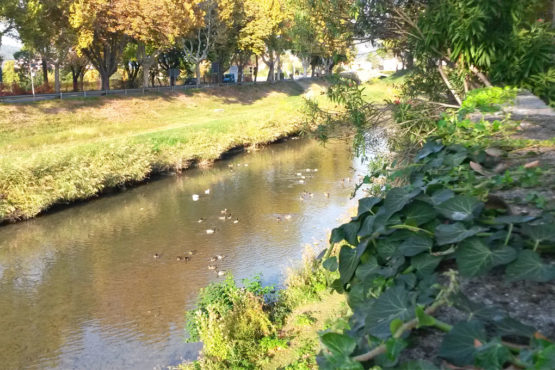 Fiume Topino Foligno