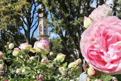 perugia-flower-show