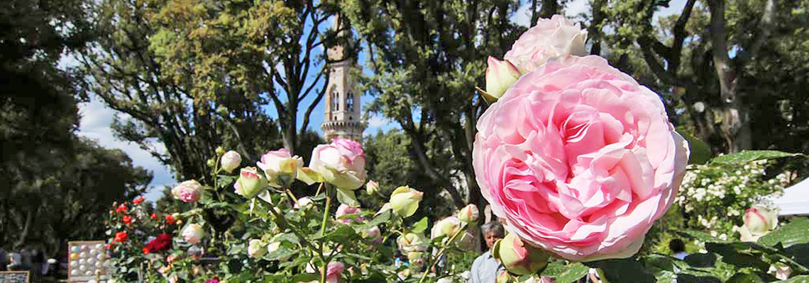 perugia-flower-show