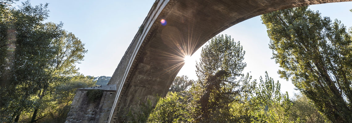 Lungotevere ponte valleceppi