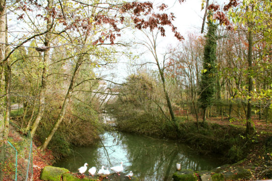 Bosco didattico Ponte Felcino