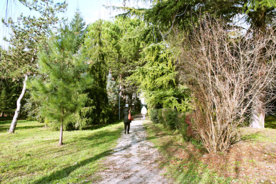 Bosco didattico Ponte Felcino