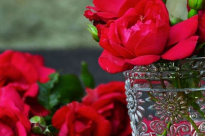 san valentino rose rosse